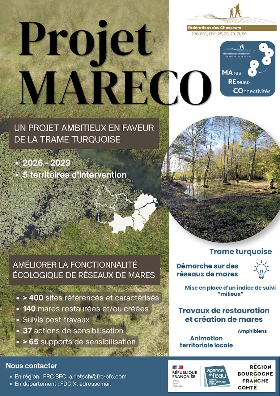 Affiche A3 MARECO